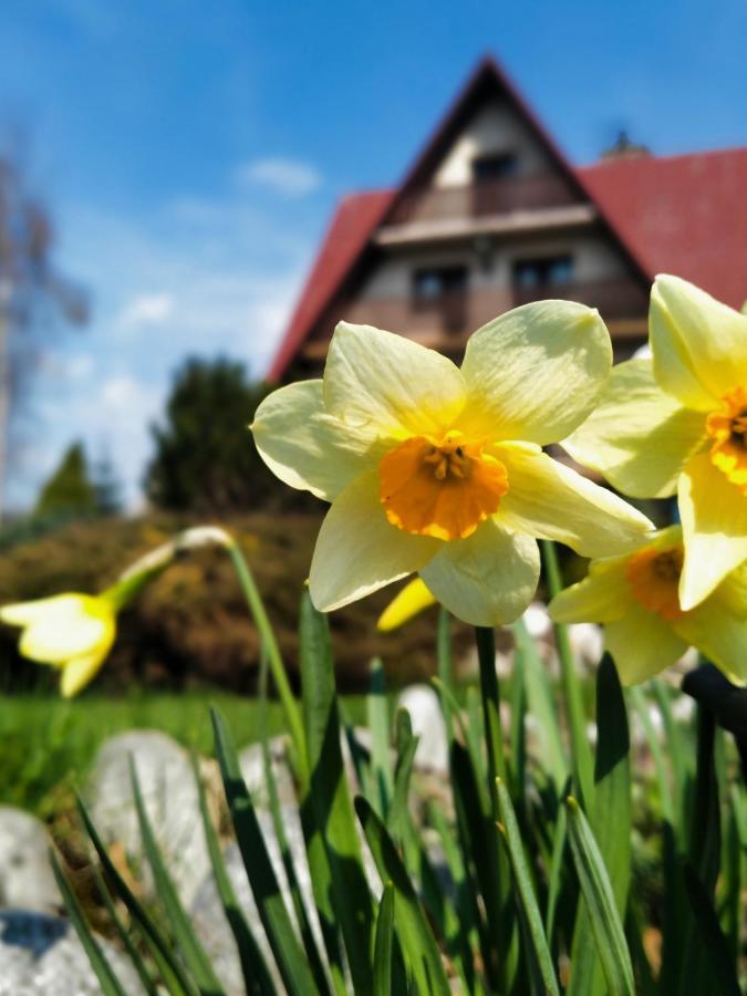 Dom Na Brzyzku Hotel Poronin Bagian luar foto