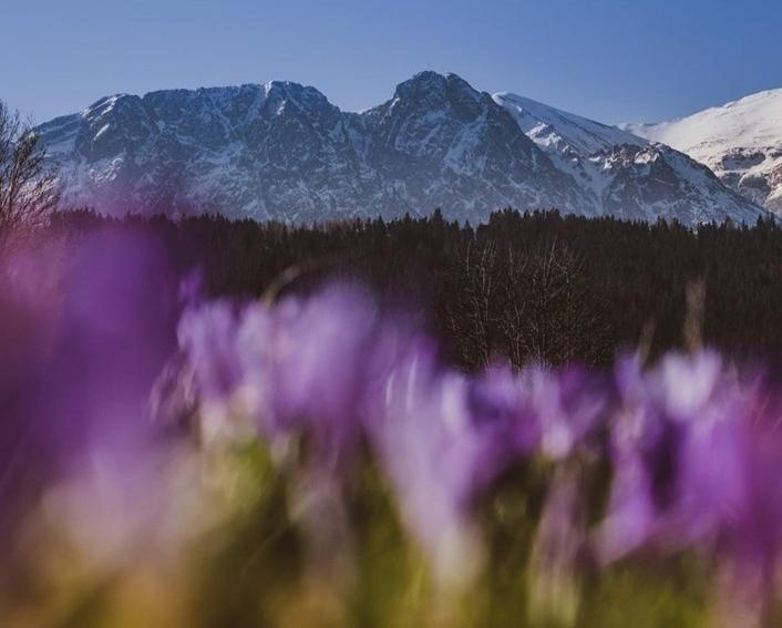 Dom Na Brzyzku Hotel Poronin Bagian luar foto